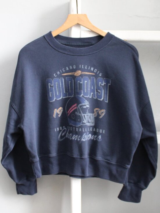 Abercrombie & Fitch Sweaters - Abercrombie and Fitch Chicago,IL 1989 Gold Coast Cropped Crew Sweater sz Small